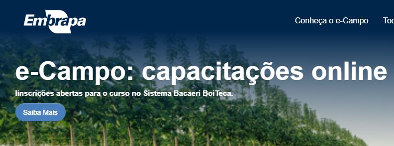 Ícone do Card