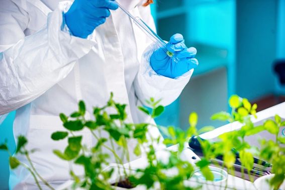 Bioinsumos na Indústria de Alimentos